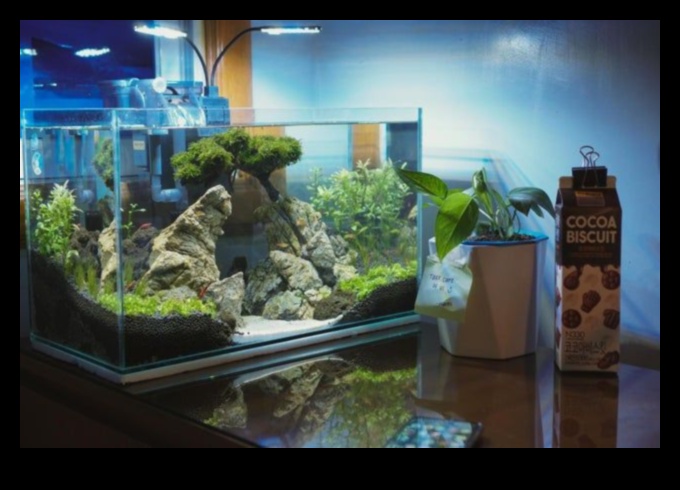 Aquarium Elegance: Accesorii decorative pentru acvarii