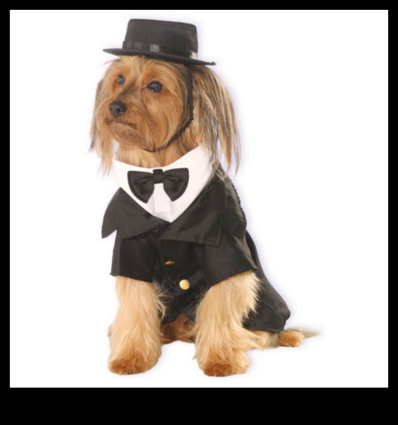 Dapper Doggies: Îmbrăcăminte și accesorii pentru animale de companie