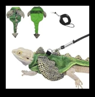 Regulă reptilele! Reptile Runners Redux lansează o nouă linie de accesorii la modă pentru însoțitorii Scaley.